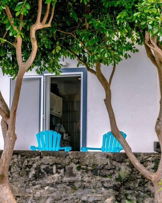 City Center, 200 Meters To Marina, Walk To Everything, Private Yard And Garden Ponta Delgada Exterior foto